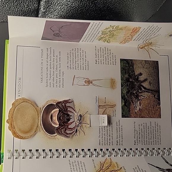 Set of Discovery Plus Children's Books - Picture 10 of 16